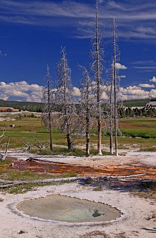 104 yellowstone, geyser hill.JPG